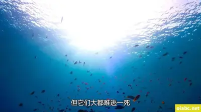 亚洲一二三四五区剧照1